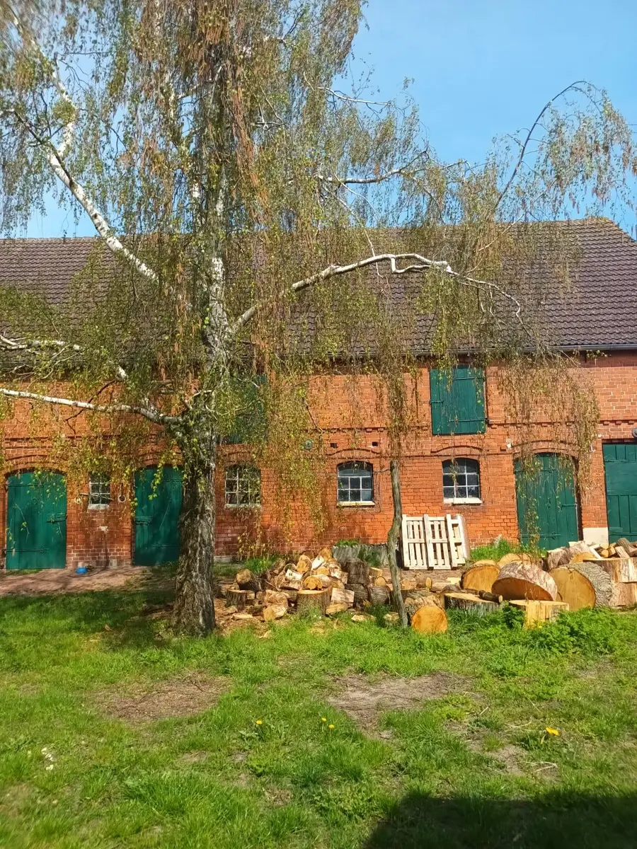 LocationRobot - Film Location Bauernhof LR5816 (photo 24)