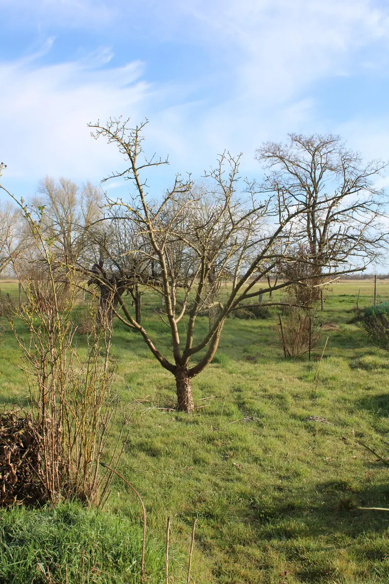 LocationRobot - Film Location Bauernhof LR5816 (photo 37)