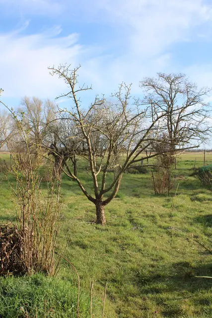 LocationRobot - Film Location Bauernhof LR5816 (photo 37)