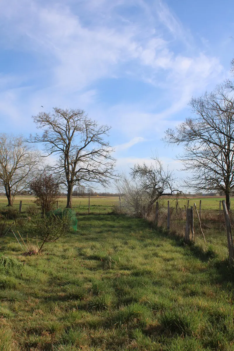 LocationRobot - Film Location Bauernhof LR5816 (photo 33)