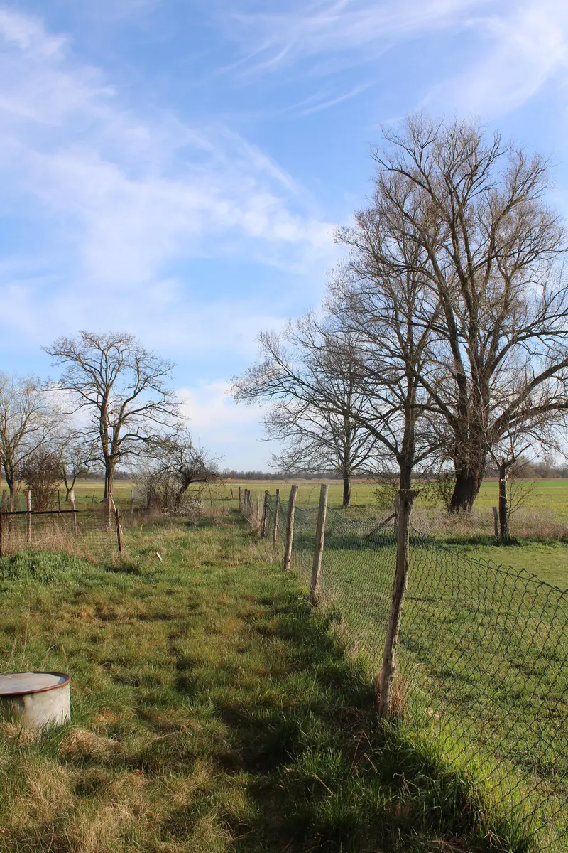 LocationRobot - Film Location Bauernhof LR5816 (photo 38)