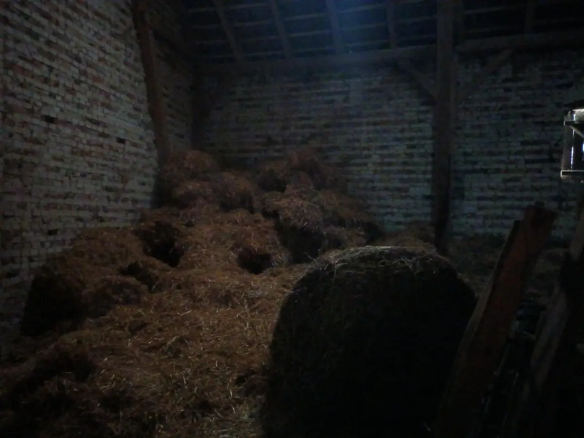 LocationRobot - Film Location Bauernhof LR5816 (photo 15)