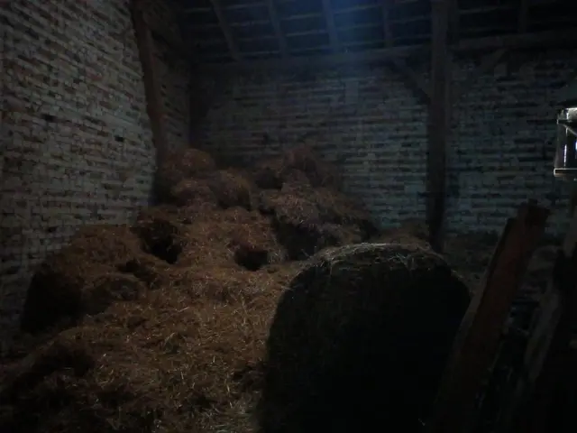 LocationRobot - Film Location Bauernhof LR5816 (photo 15)