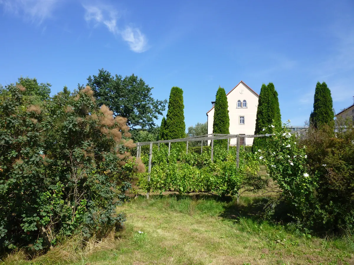 LocationRobot - Film Location Gutshof LR5938 (photo 26)