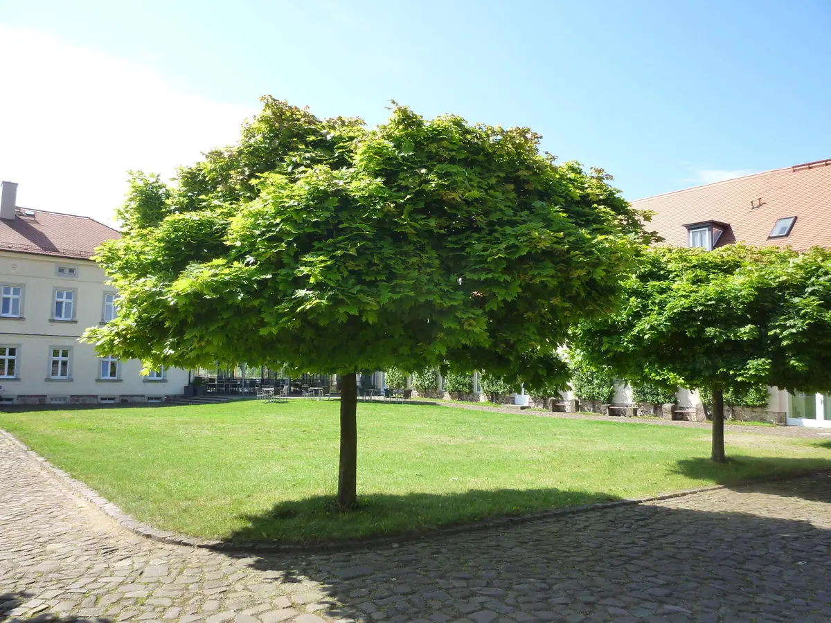 LocationRobot - Film Location Gutshof LR5938 (photo 19)