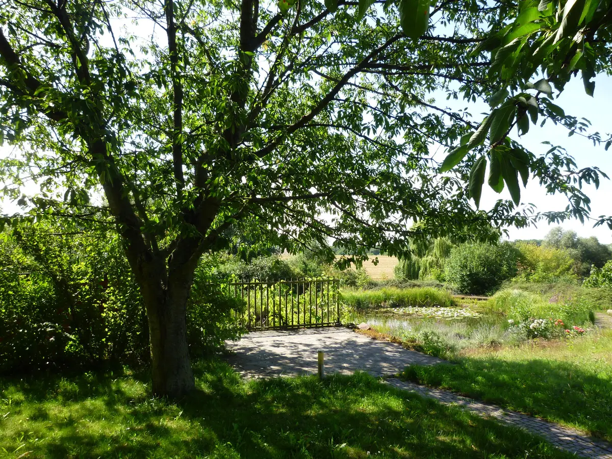 LocationRobot - Film Location Gutshof LR5938 (photo 31)