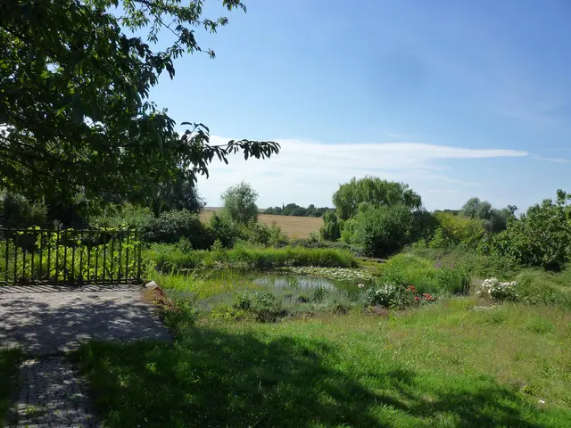 LocationRobot - Film Location Gutshof LR5938 (photo 32)