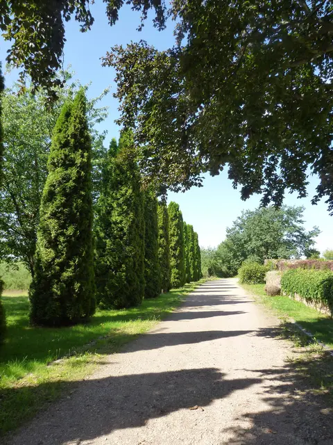 LocationRobot - Film Location Gutshof LR5938 (photo 30)