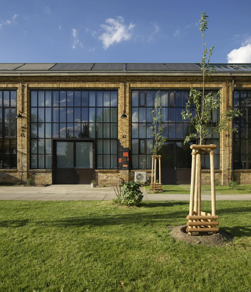 LocationRobot - Film Location Tageslichtstudio LR3679 (photo 20)