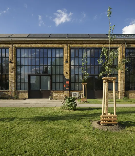 LocationRobot - Film Location Tageslichtstudio LR3679 (photo 20)