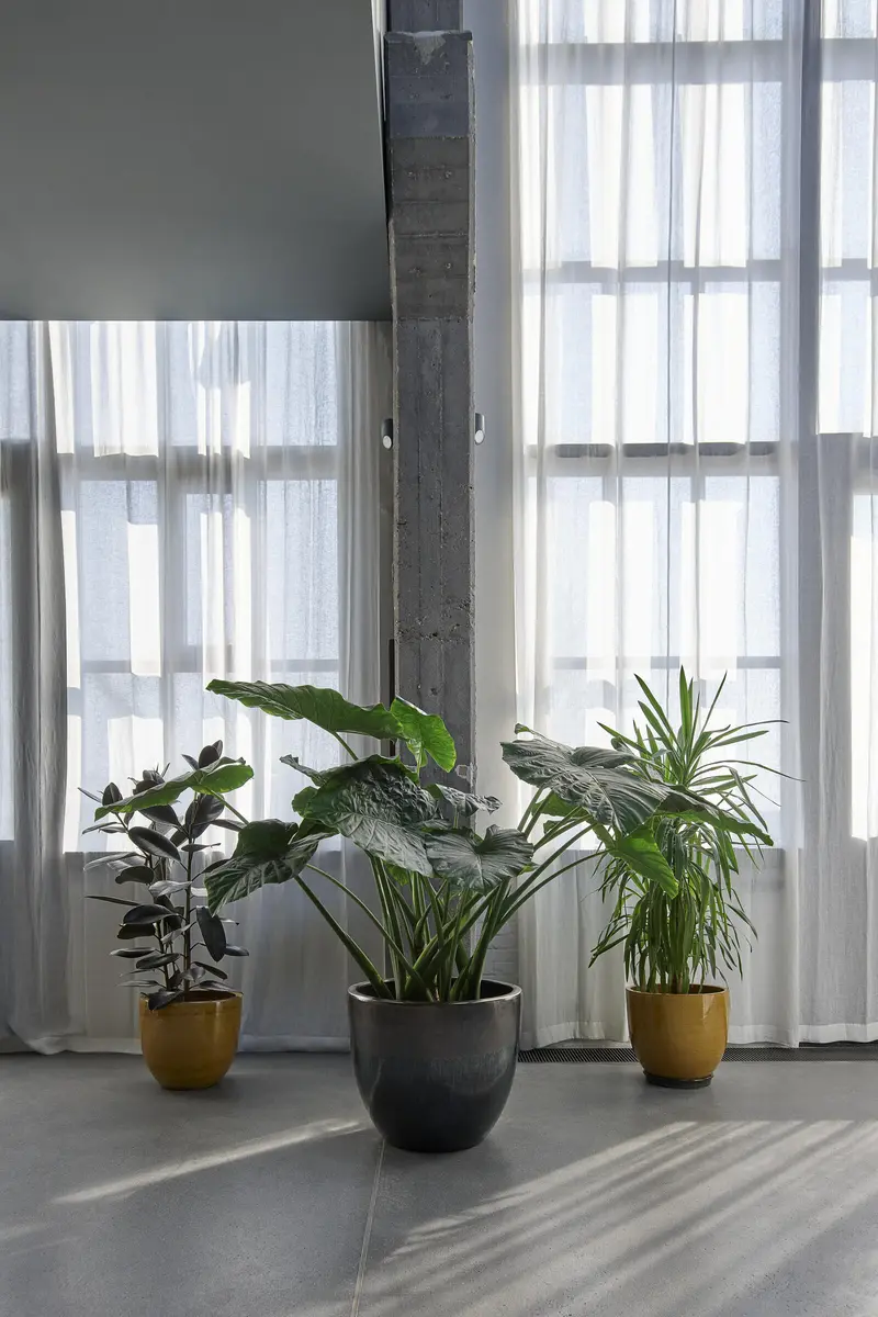 LocationRobot - Film Location Tageslichtstudio LR3679 (photo 13)