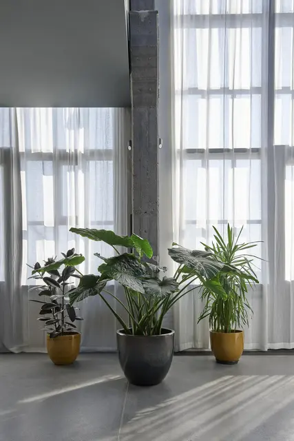 LocationRobot - Film Location Tageslichtstudio LR3679 (photo 13)