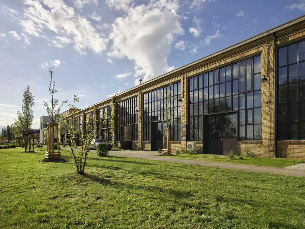 LocationRobot - Film Location Tageslichtstudio LR3679 (photo 19)