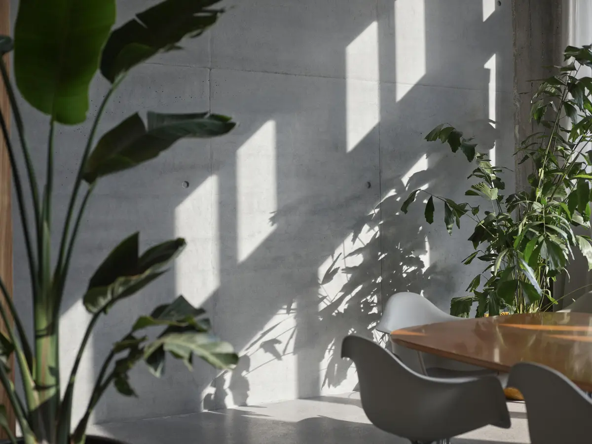 LocationRobot - Film Location Tageslichtstudio LR3679 (photo 17)