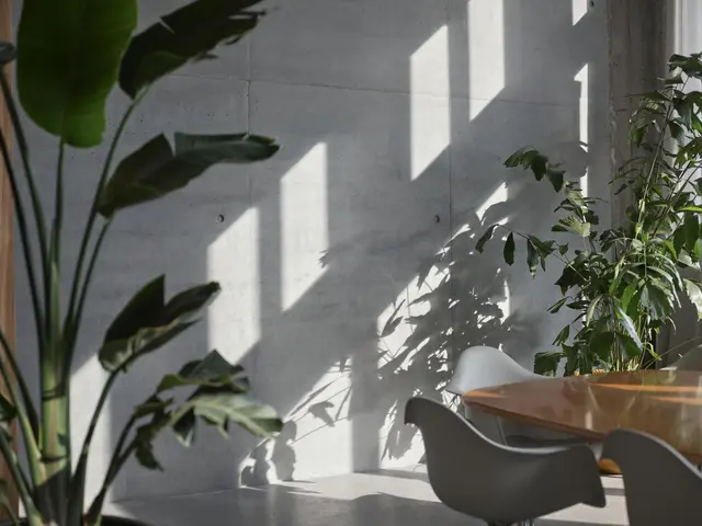 LocationRobot - Film Location Tageslichtstudio LR3679 (photo 17)