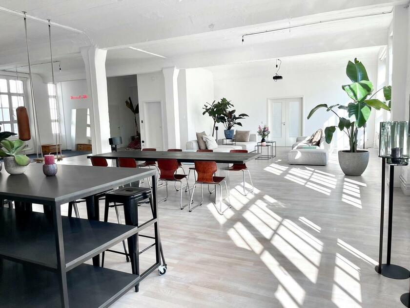 LocationRobot - Film Location Loftstudio LR3709 (photo 9)