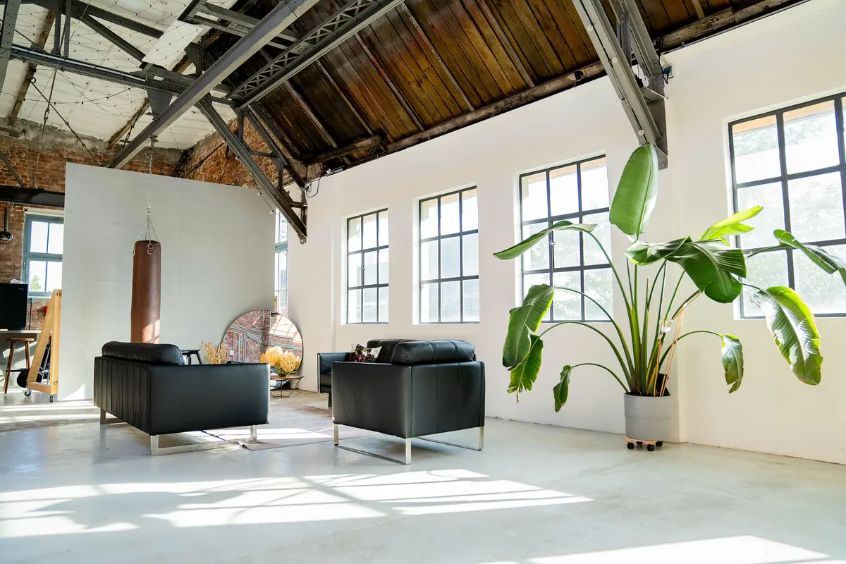 LocationRobot - Film Location Tageslichtstudio LR4680 (photo 3)