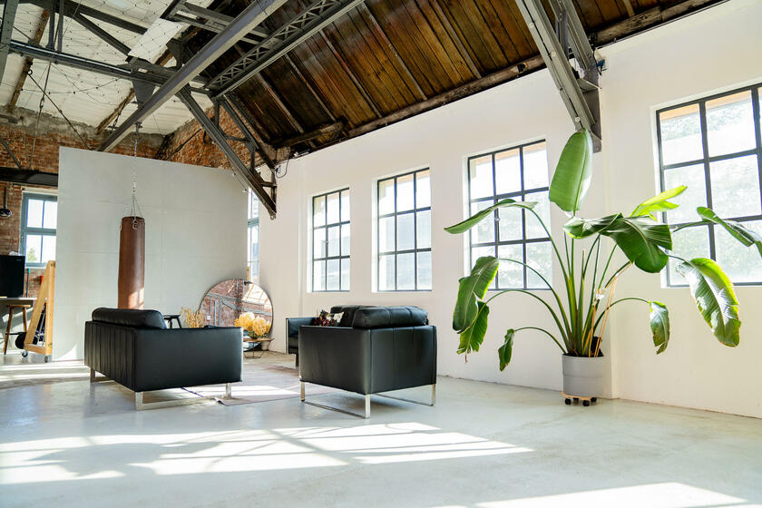 LocationRobot - Film Location Tageslichtstudio LR4680 (photo 3)