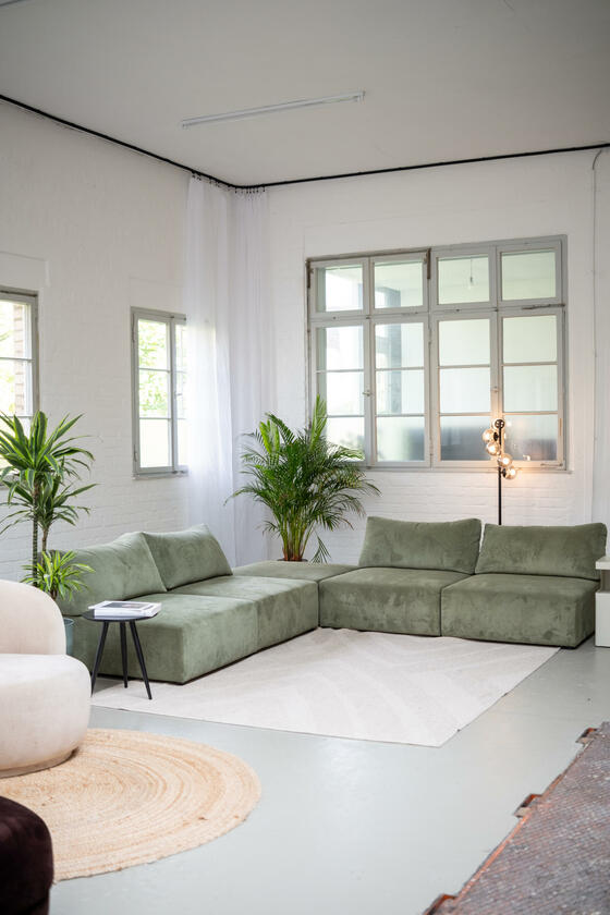 LocationRobot - Film Location Tageslichtstudio LR5477 (photo 5)