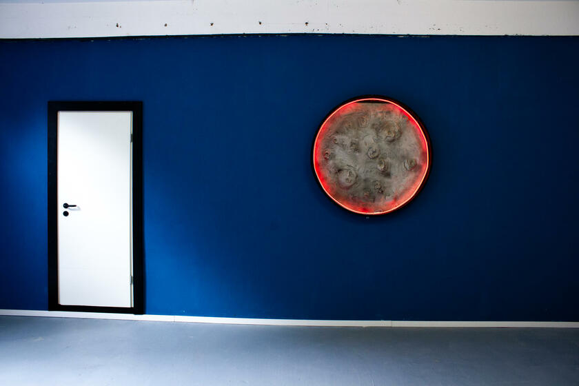 LocationRobot - Film Location Studio LR5478 (photo 5)