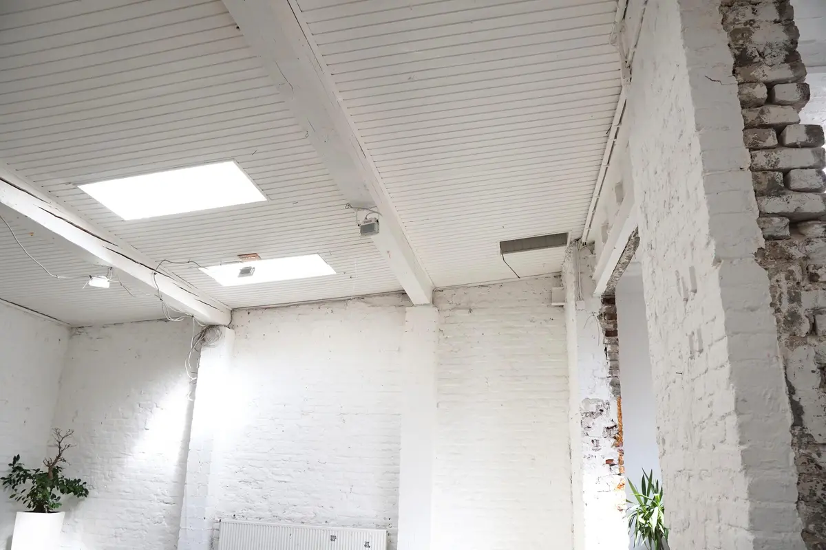 LocationRobot - Film Location Tageslichtstudio LR6025 (photo 16)