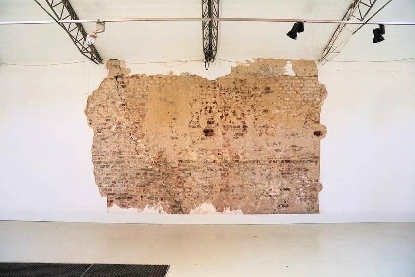 LocationRobot - Film Location Tageslichtstudio LR6025 (photo 5)