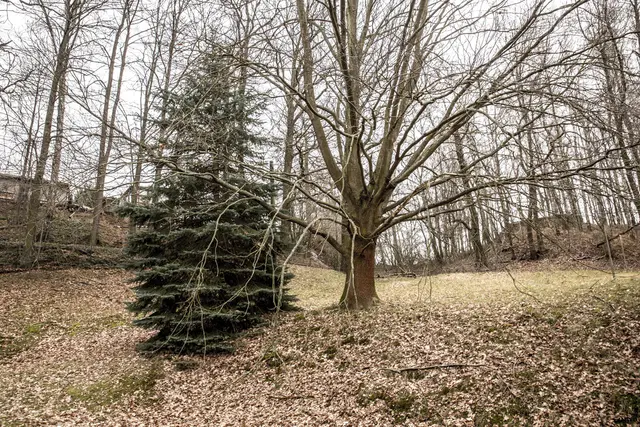 LocationRobot - Film Location Industrieanlage LR3835 (photo 31)