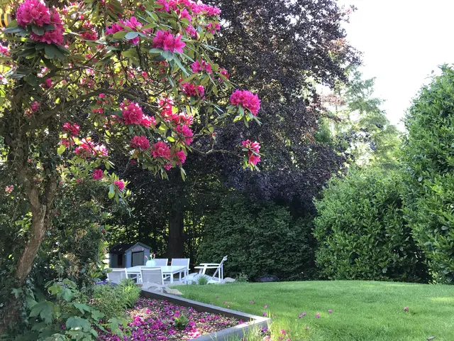 LocationRobot - Film Location Praxis LR3949 (photo 16)