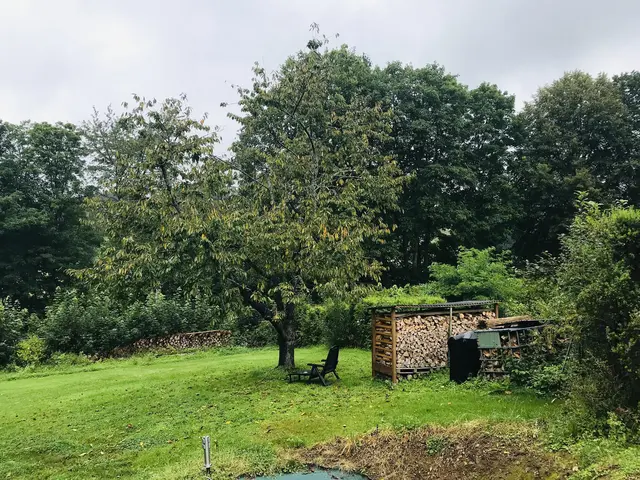 LocationRobot - Film Location Praxis LR3949 (photo 17)