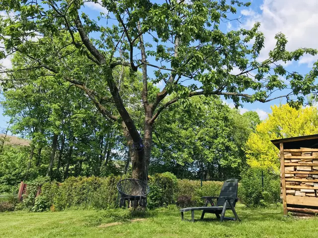 LocationRobot - Film Location Praxis LR3949 (photo 19)