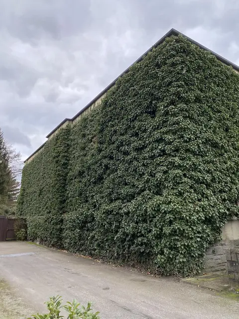 LocationRobot - Film Location Bunkeranlage LR4772 (photo 3)