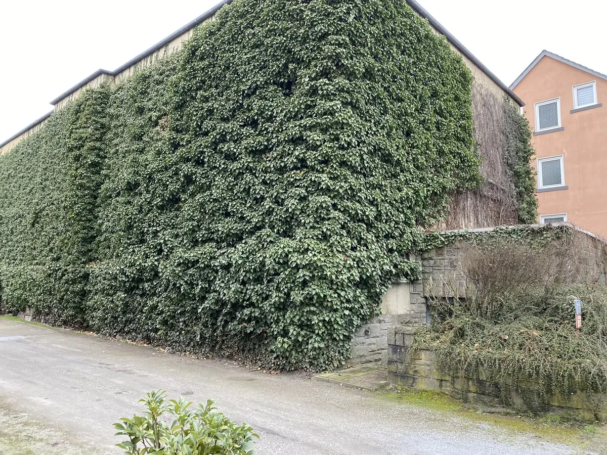 LocationRobot - Film Location Bunkeranlage LR4772 (photo 4)