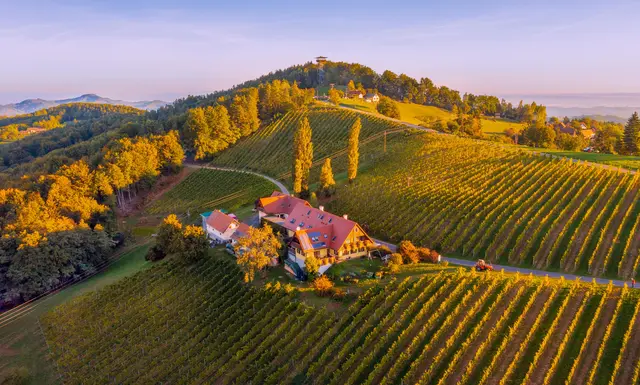 LocationRobot - Film Location Weingut LR5313 (photo 1)