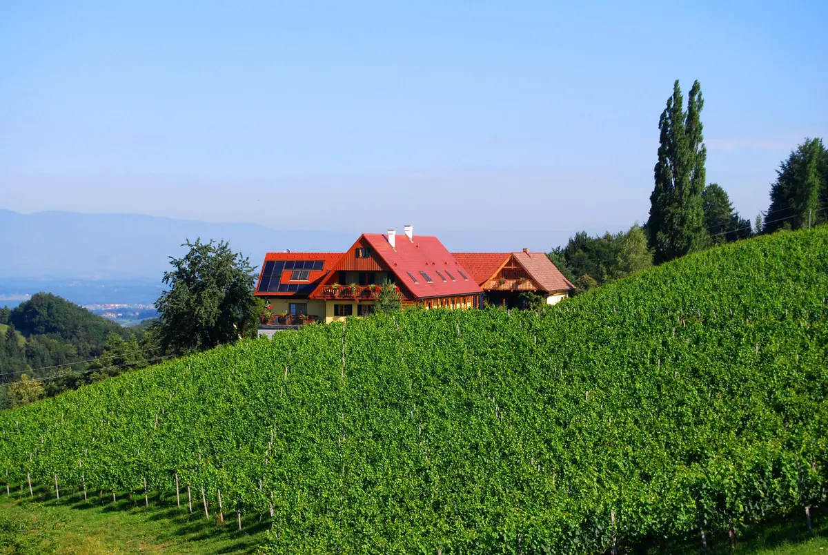 LocationRobot - Film Location Weingut LR5313 (photo 16)