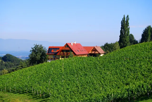 LocationRobot - Film Location Weingut LR5313 (photo 16)