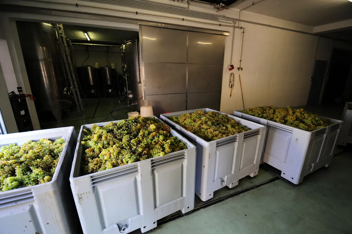 LocationRobot - Film Location Weingut LR5313 (photo 14)
