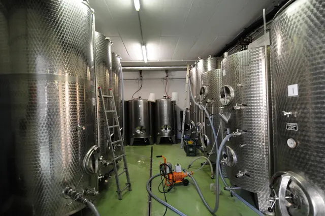 LocationRobot - Film Location Weingut LR5313 (photo 11)