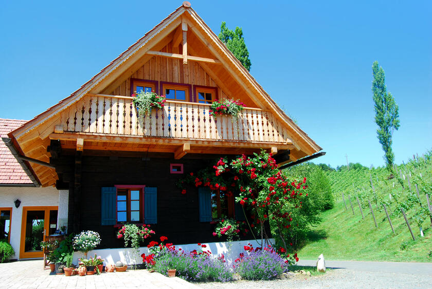 LocationRobot - Film Location Weingut LR5313 (photo 3)