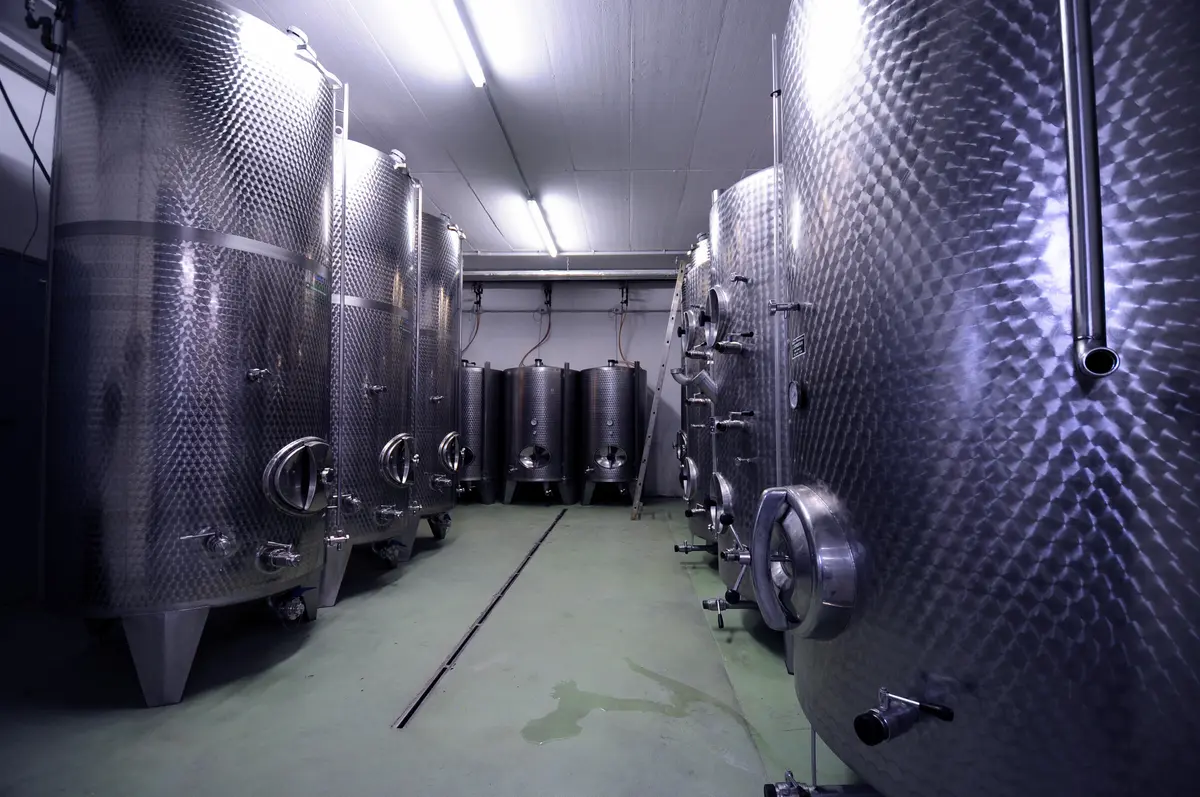 LocationRobot - Film Location Weingut LR5313 (photo 13)