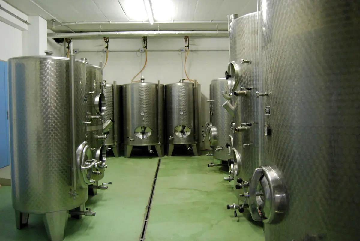 LocationRobot - Film Location Weingut LR5313 (photo 12)