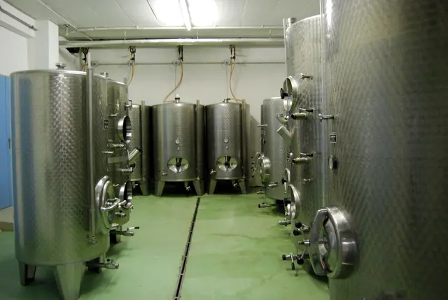 LocationRobot - Film Location Weingut LR5313 (photo 12)