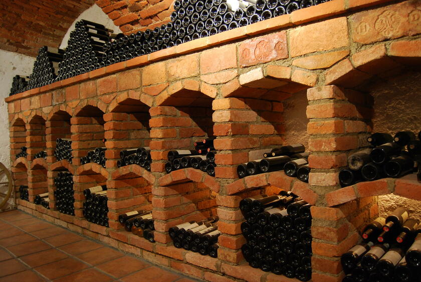 LocationRobot - Film Location Weingut LR5313 (photo 10)