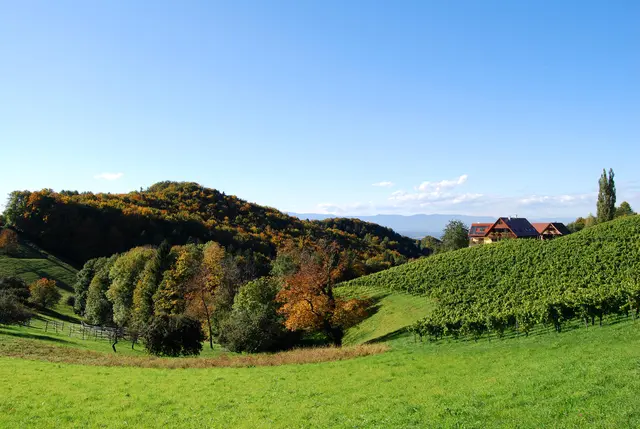 LocationRobot - Film Location Weingut LR5313 (photo 15)