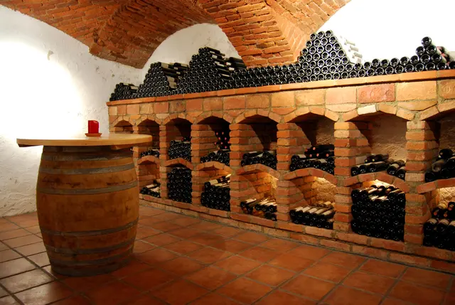 LocationRobot - Film Location Weingut LR5313 (photo 9)