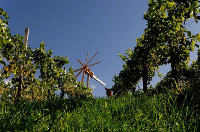 LocationRobot - Film Location Weingut LR5313 (photo 18)