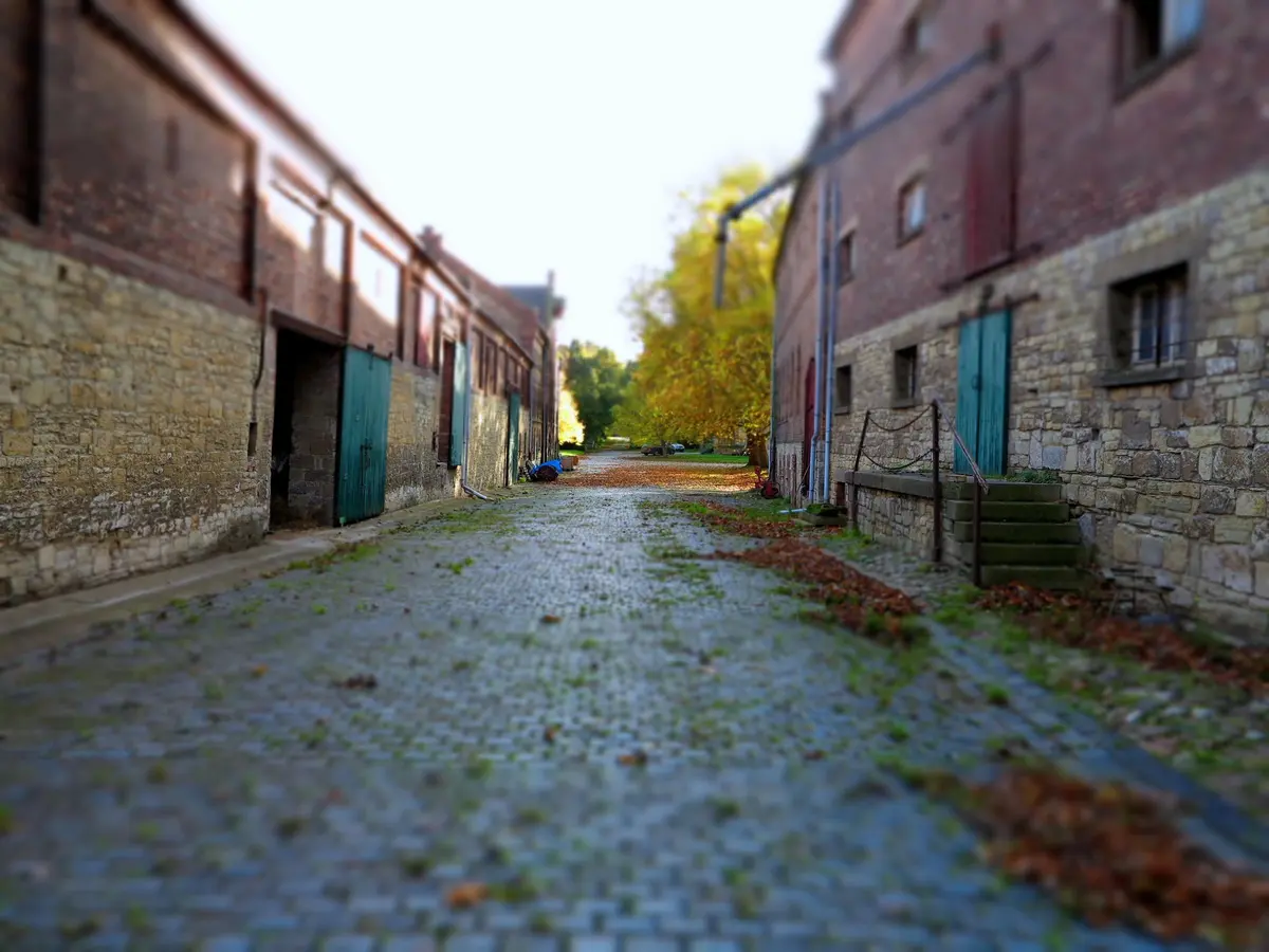 LocationRobot - Film Location Herrenhaus LR2165 (photo 45)