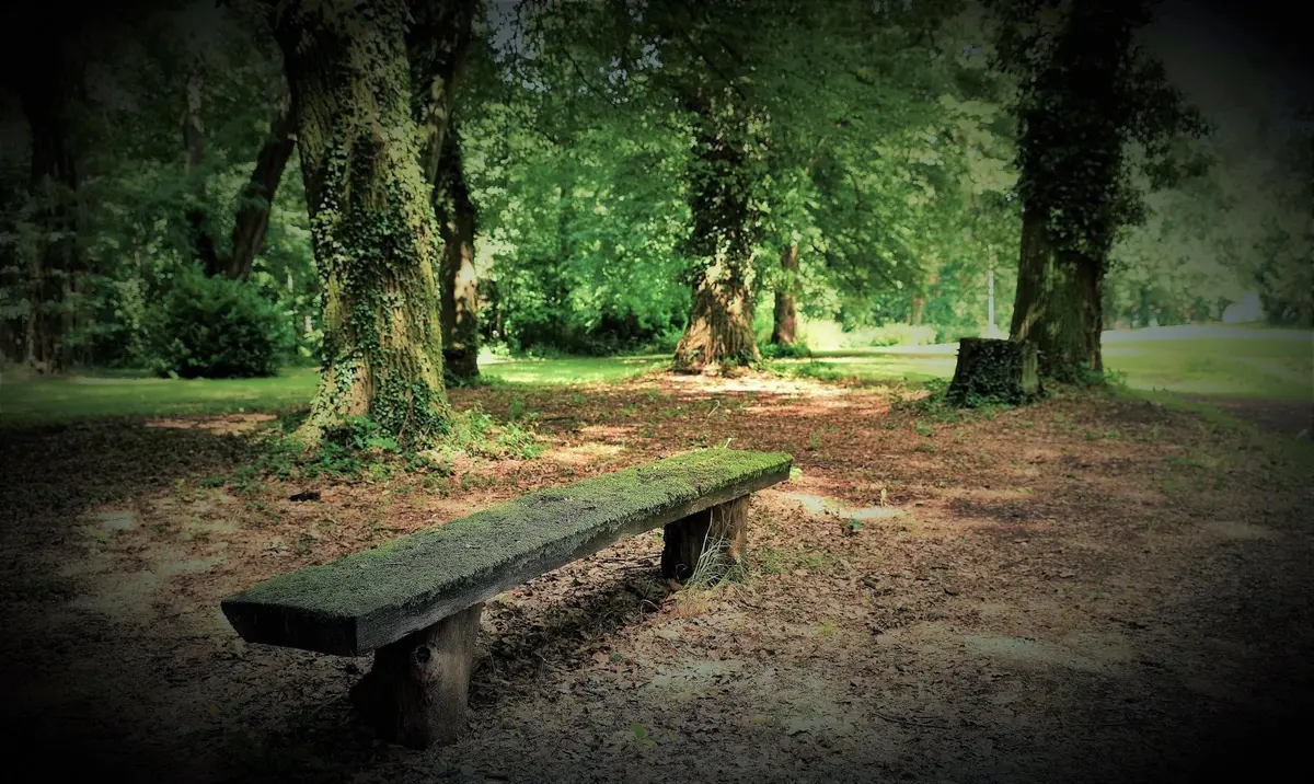 LocationRobot - Film Location Schloss LR2173 (photo 22)