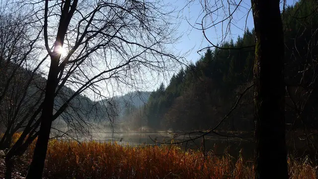 LocationRobot - Film Location Herrenhaus LR2392 (photo 31)