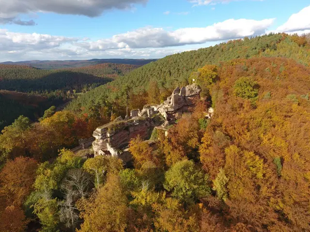 LocationRobot - Film Location Herrenhaus LR2392 (photo 43)