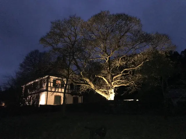 LocationRobot - Film Location Herrenhaus LR2392 (photo 33)